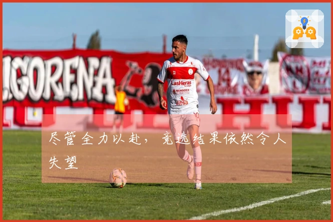 尽管全力以赴，竞选结果依然令人失望